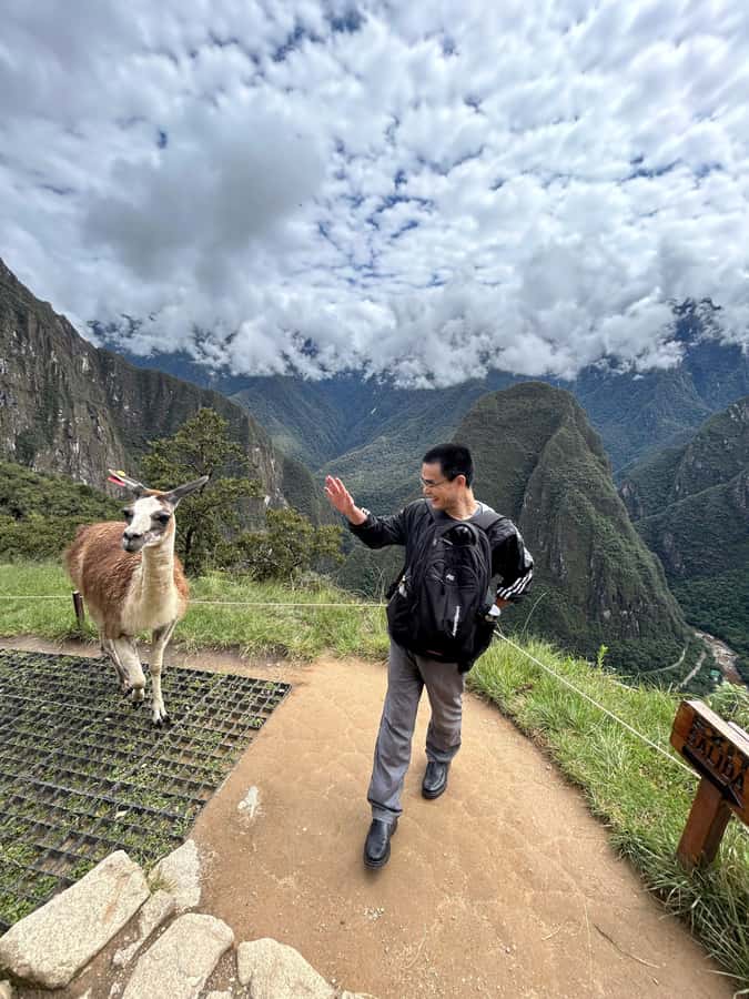 Machu Picchu: Private Tour Guide Service for up to 15 people - Price and value: paying for control, not just narration