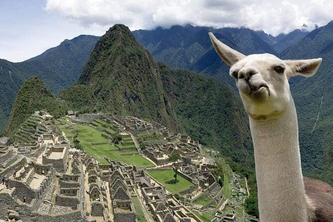 Machu Picchu Small Group Day Tour from Cusco - What you pay $335 for: value beyond the headline price