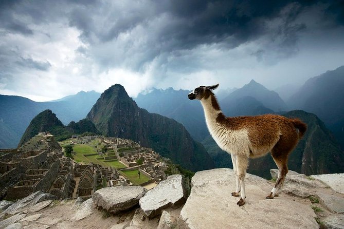 MachuPicchu Private Full Day Tour by Vistadome train from Cusco - Cusco pickup at 5:00 AM and the Sacred Valley drive