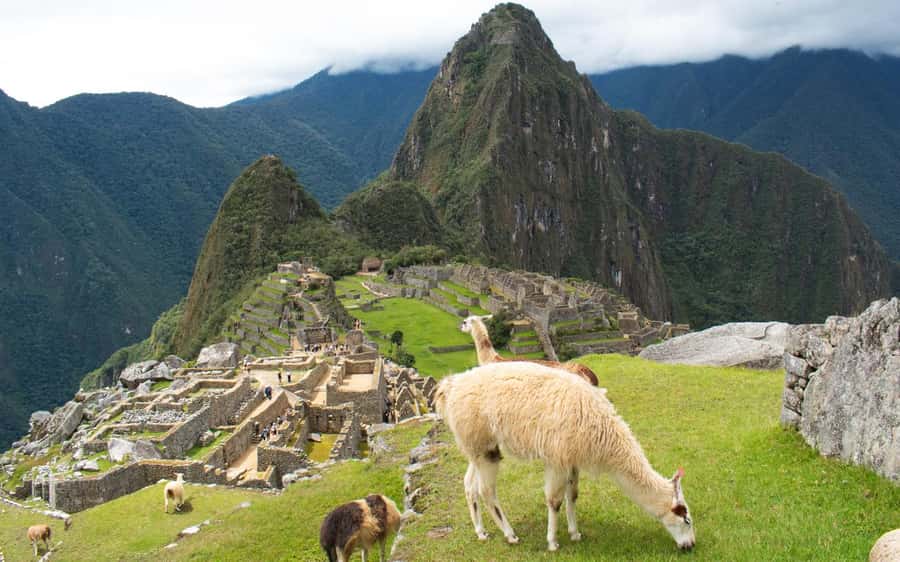 Machupicchu tour by tourist train in 2 days - Getting there and back: the train ride experience you’re really buying