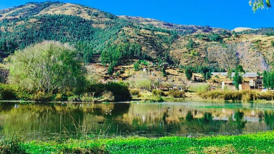 Mystic Cusco: Huasao, Valley of the Goblins and Morada - The main thing that can make or break your day: guide language and timing