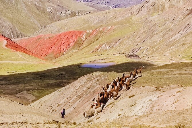 Palccoyo Rainbow Mountains Full Day Tour from Cusco - San Pedro buffet lunch and the four lagoons circuit