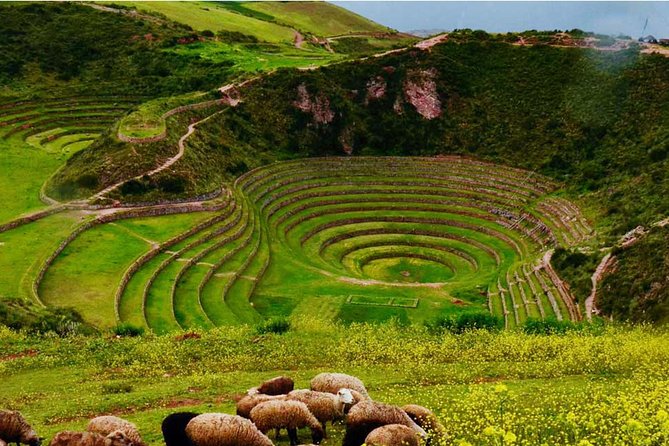 Private Tour Sacred Valley, Chinchero, Maras Moray, Ollantaytambo - Urubamba Lunch Stop: Andean Buffet Reality Check