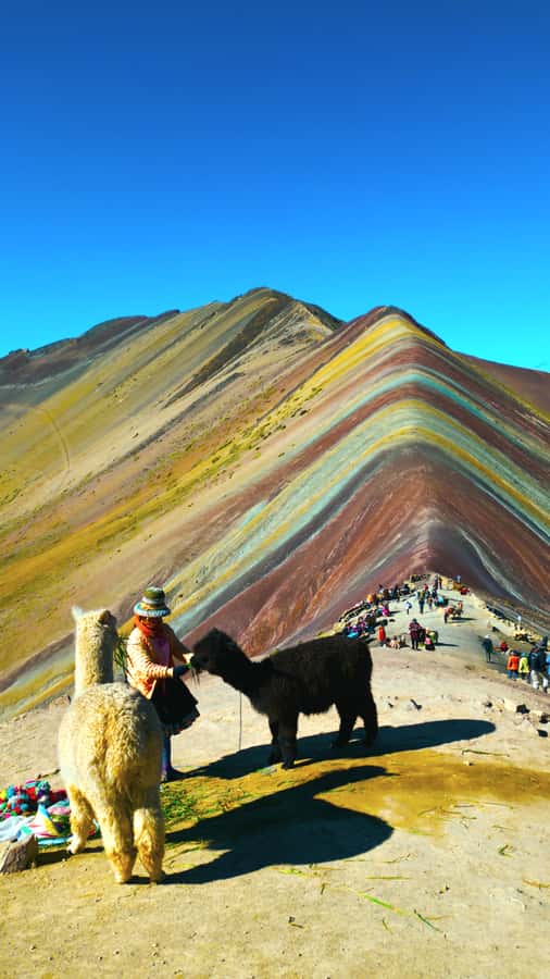 rainbown mountain Vinicunca 1 day - Breakfast on the way: fuel for the climb