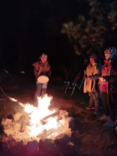 San Pedro Wachuma Ceremony in Cusco - Espiritual Tour - Price and what your $385 covers (and why it matters)