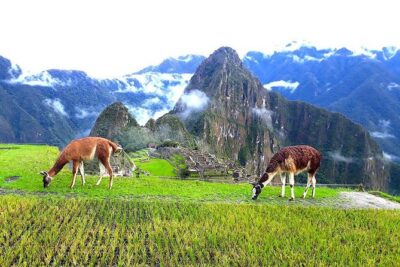 Small-Group Day Tour to Machu Picchu - 5:15 am pickup and the Cusco-to-Ollantaytambo connection