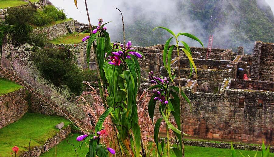 Tour Machu Picchu + Mountain of Huayna Picchu 2 days - A two-day rhythm that makes Machu Picchu feel calmer