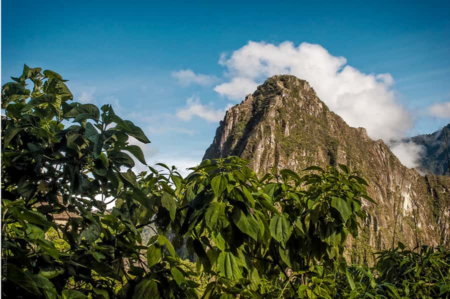 Tour Machu Picchu + Mountain of Huayna Picchu 2 days - Price and value: what $540 buys you (and what it doesn’t)