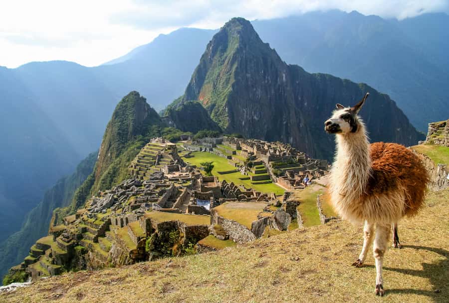 TOUR TO MACHU PICCHU FULL DAY BY TRAIN – The Best Adventure - Early Morning Pickup in Cusco (4:00–4:15 AM): How to Make It Feel Less Awful
