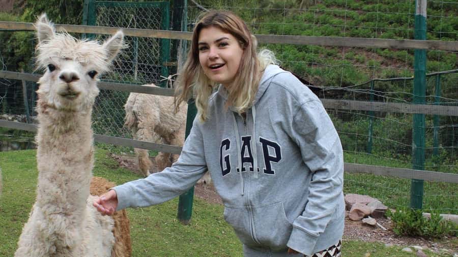 Visit to the Cochahuasi Animal Sanctuary with rescued animal - Conservation beyond the sanctuary: condors, technology, and release work